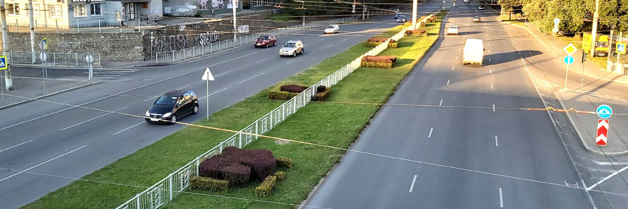 Кустарник на Московском проспекте